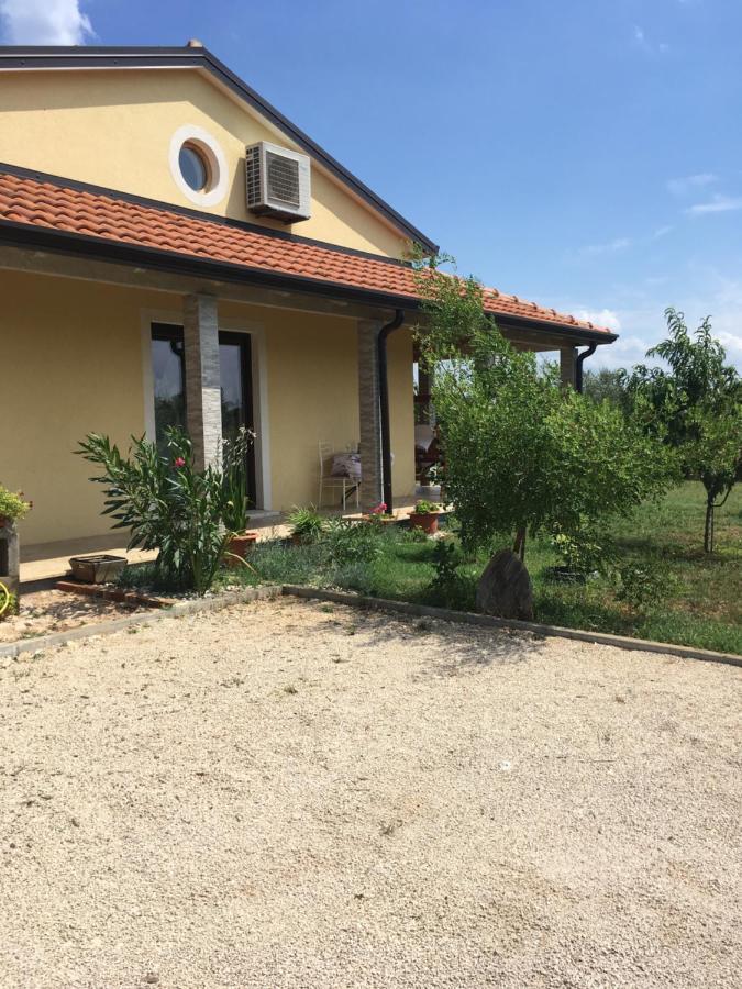 Holiday House Emc 乌马格 外观 照片